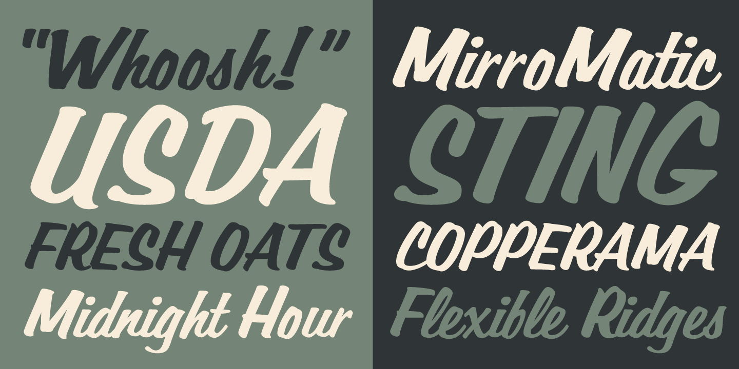 Filmotype Lakeside Font Poster #1