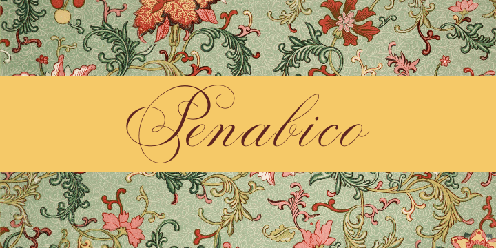 Penabico Font Family Poster