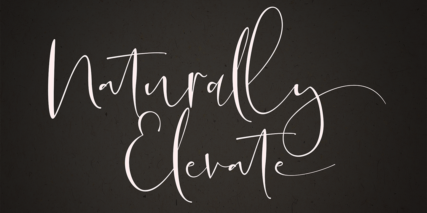Naturally Elevate Font Family