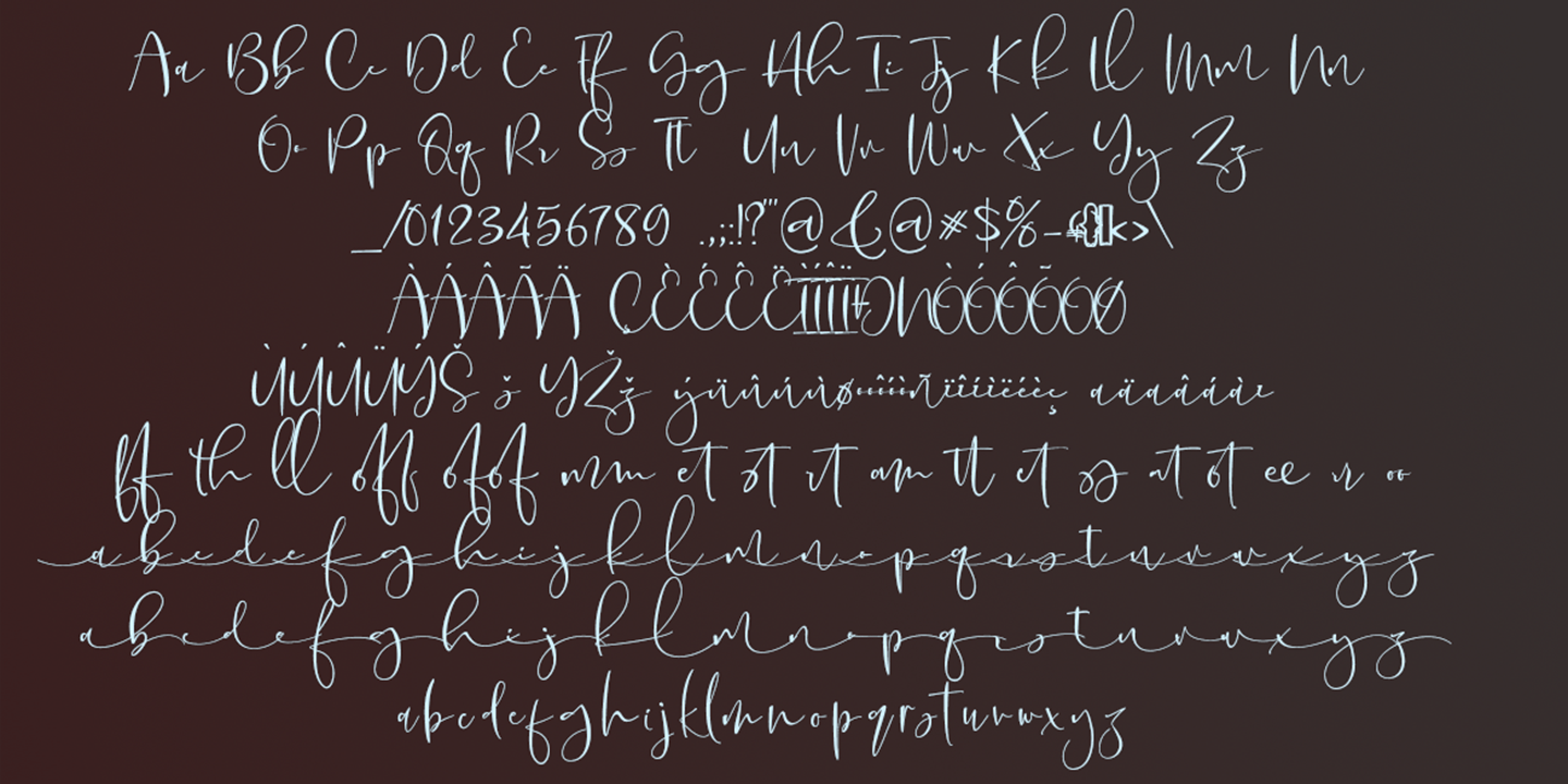 Naturally Elevate Font Poster #5