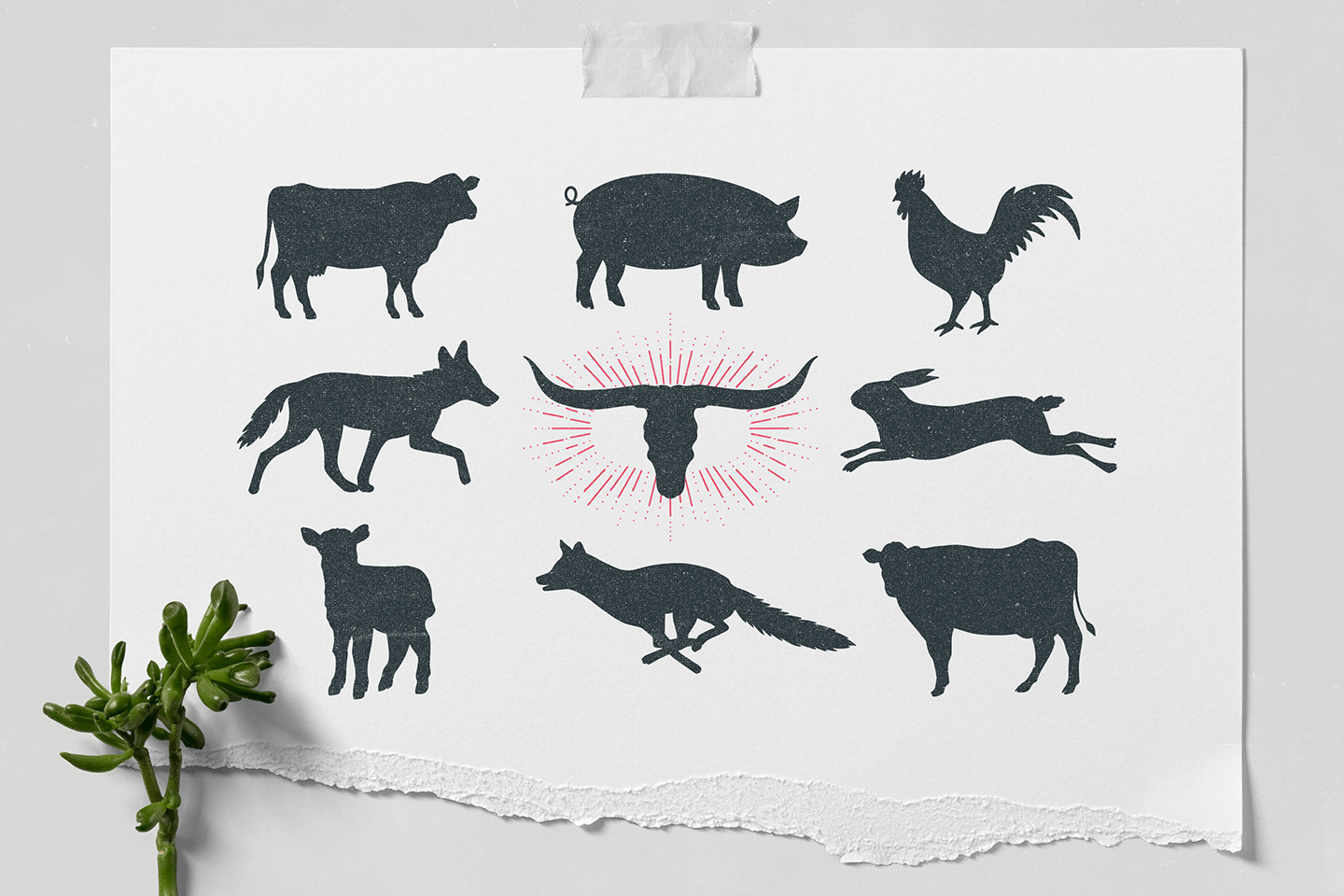 Wild Heart Font Poster #1