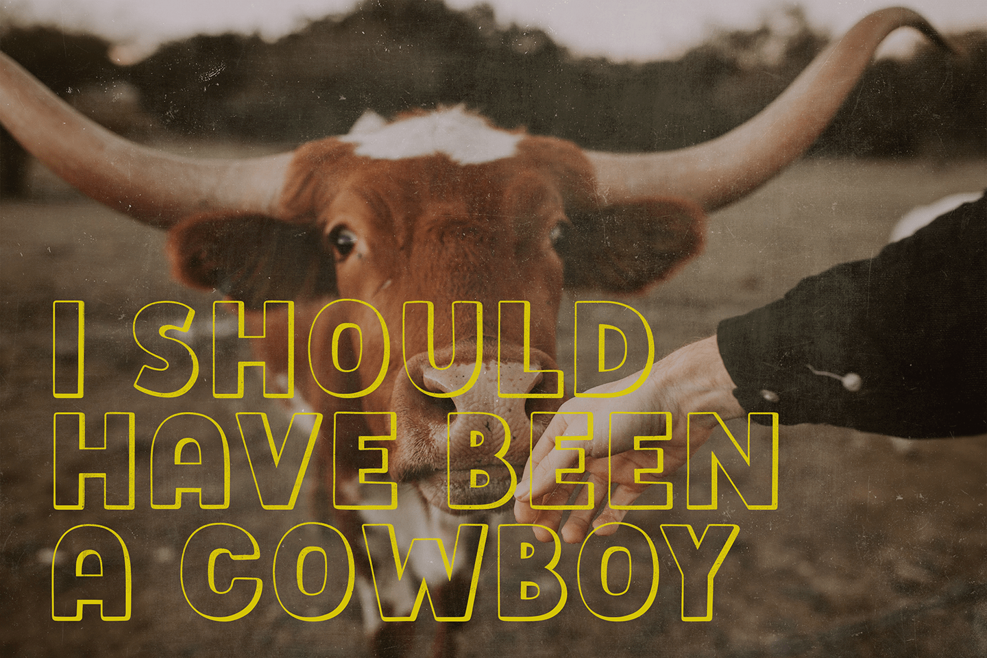 Wild Heart Font Poster #1