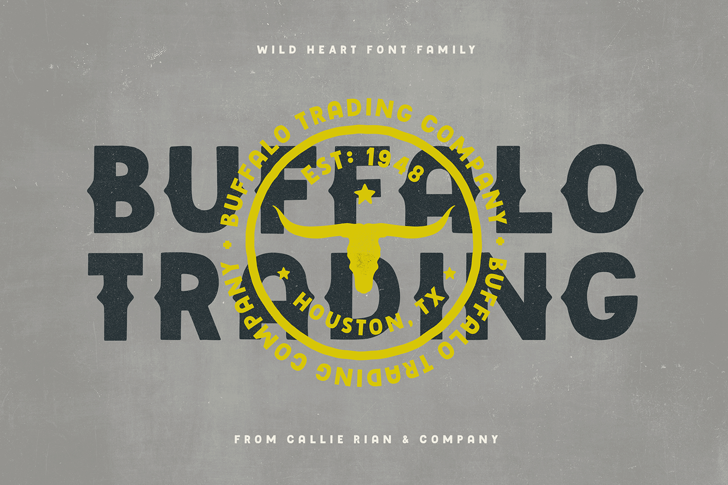 Wild Heart Font Poster #1