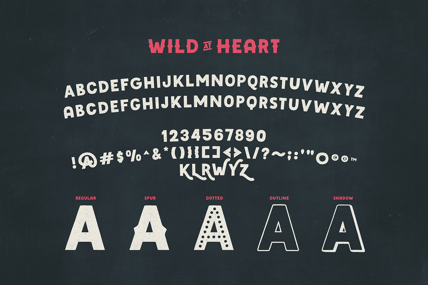 Wild Heart Font Poster #1