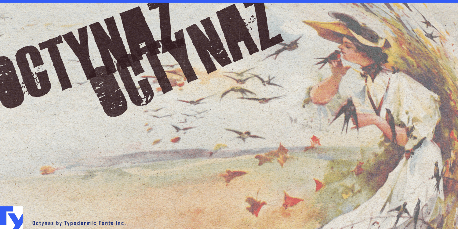 Octynaz Font Poster #1