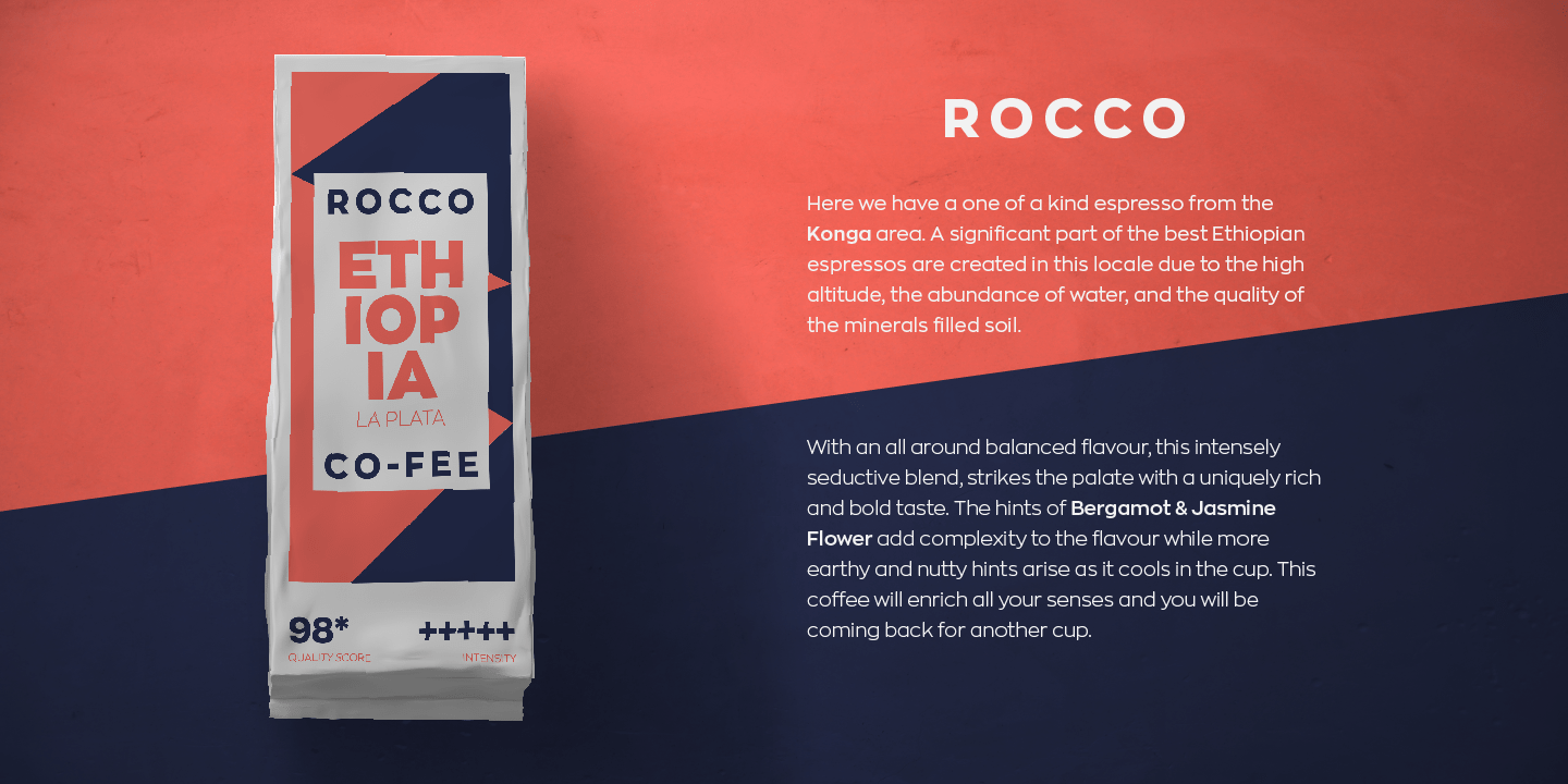 Zona Pro Font Poster #1