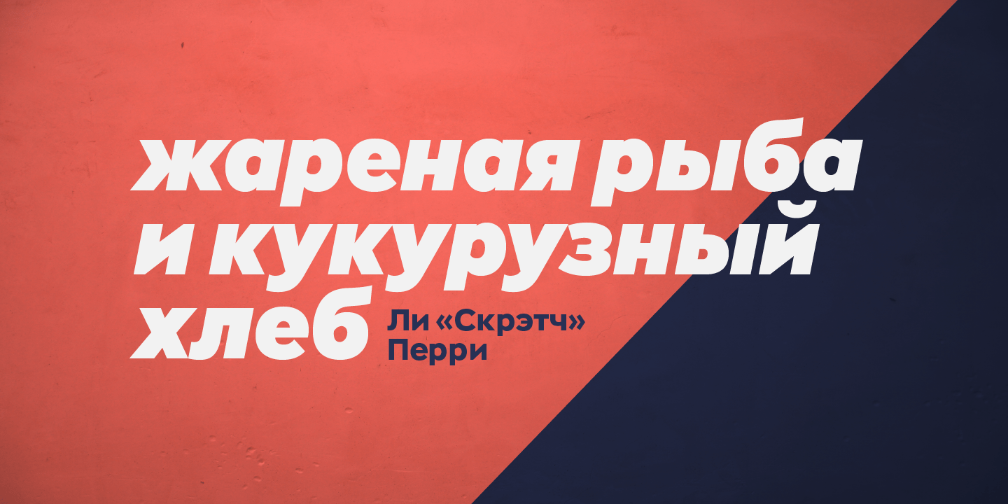 Zona Pro Font Poster #1