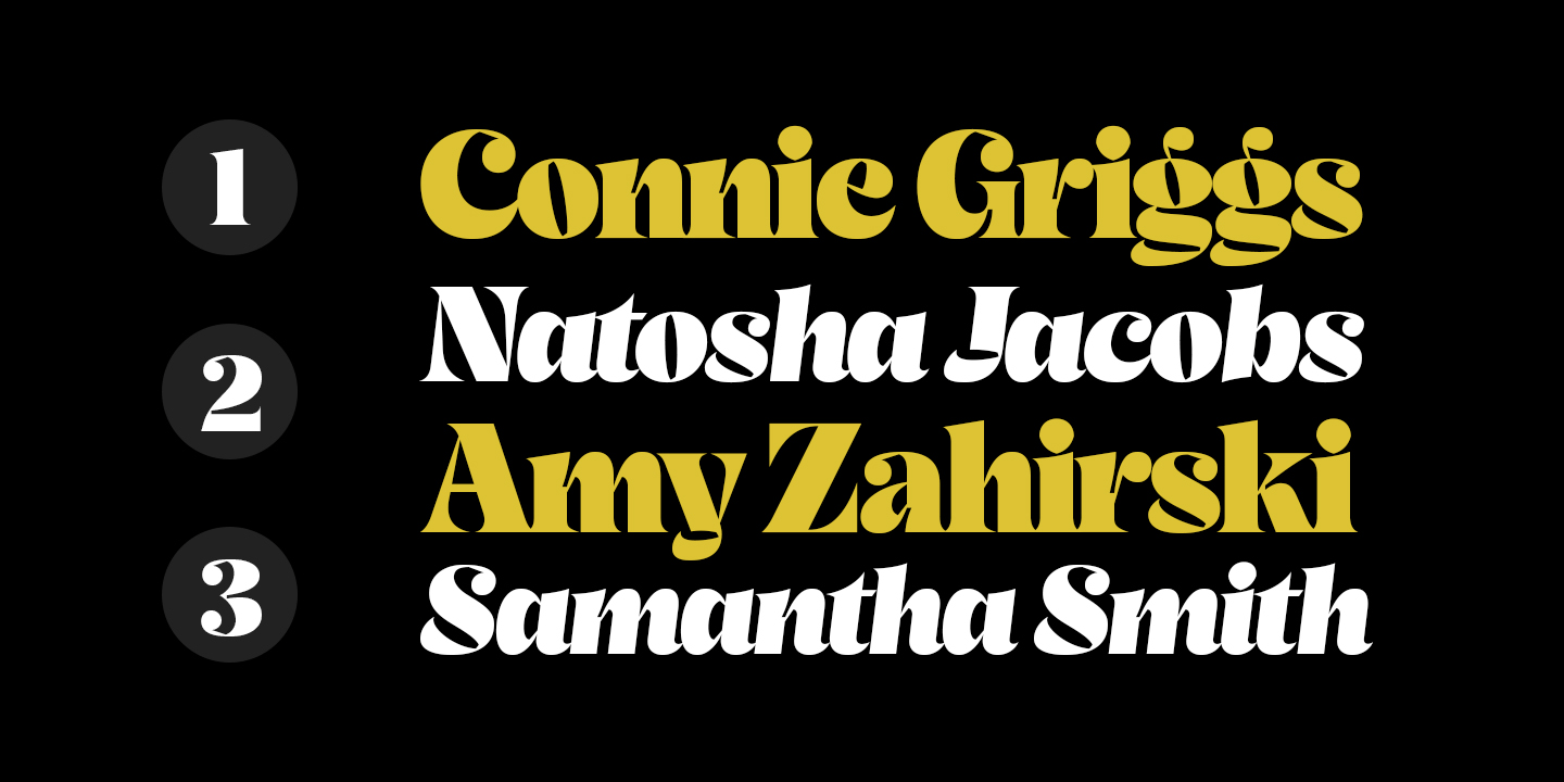 Beagley Display Font Family Poster