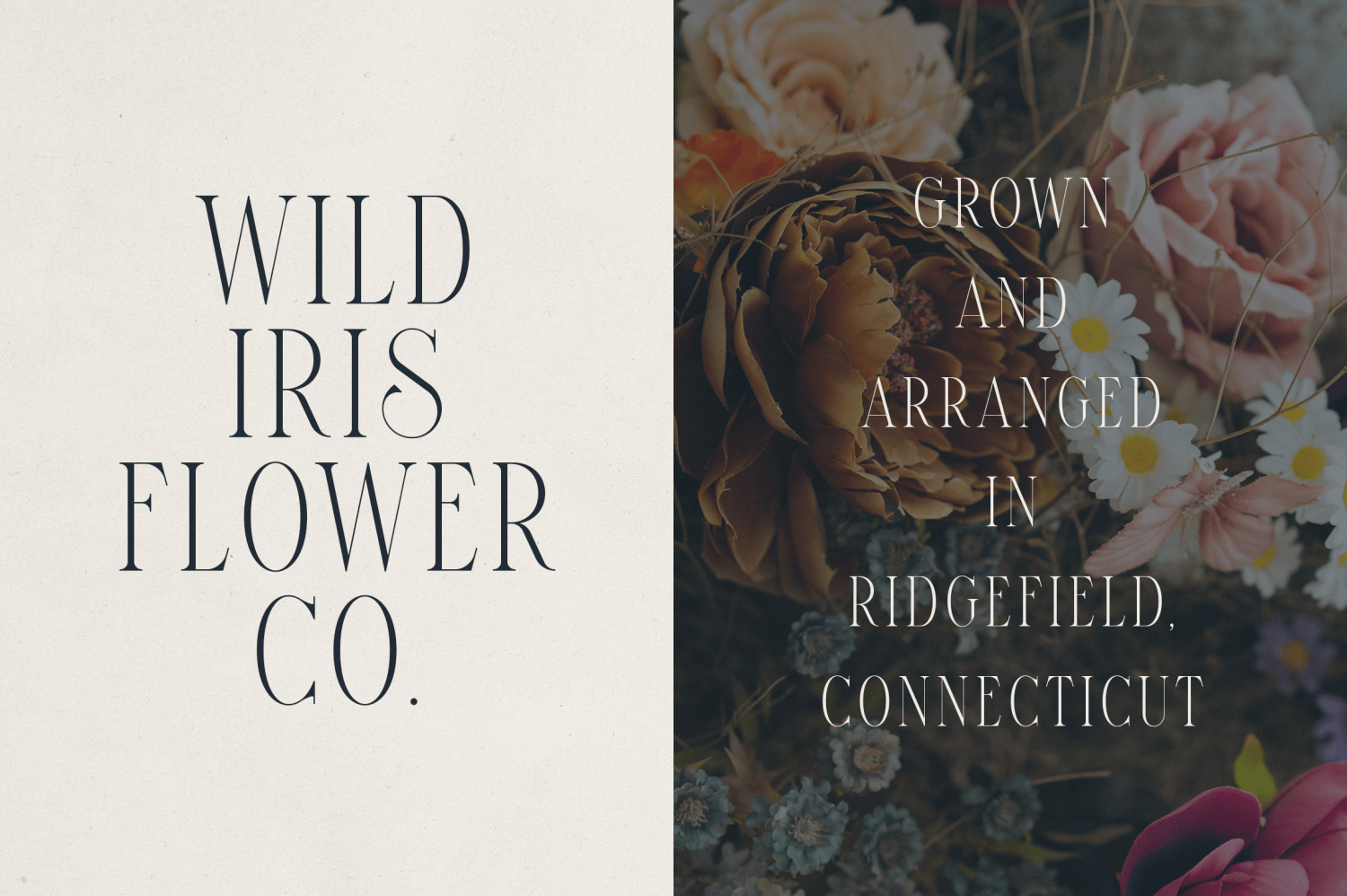 Font Bundle Vol. 07 - 8 Premium Fonts Font Poster #6