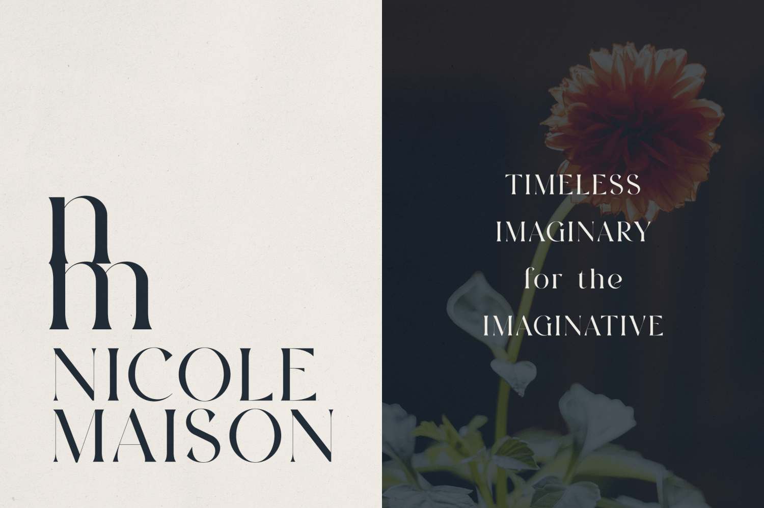 Font Bundle Vol. 07 - 8 Premium Fonts Font Poster #7