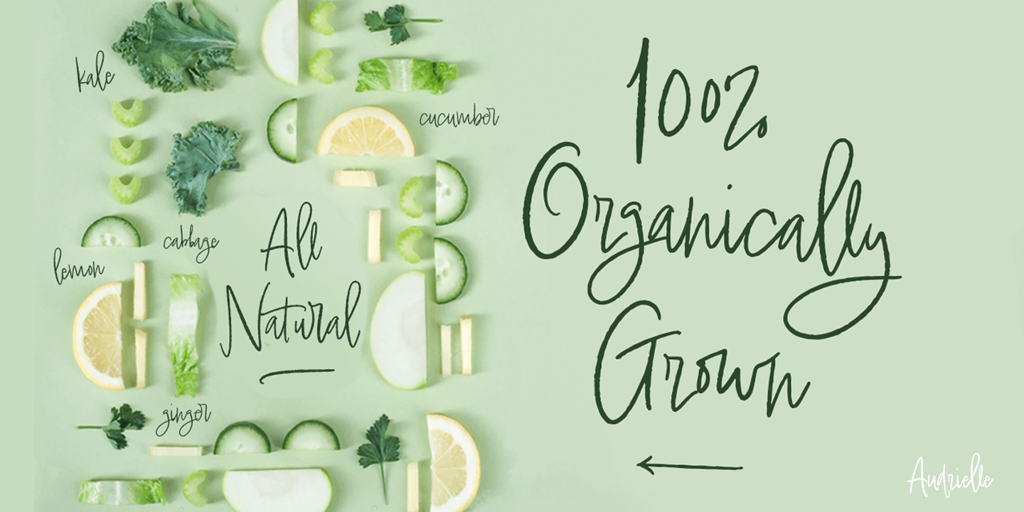 Audrielle Pro Font Family - Poster #6