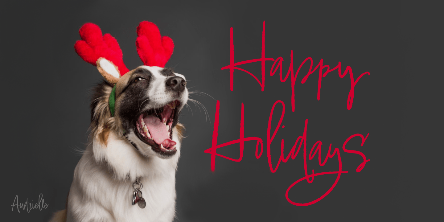 Audrielle Pro Font Family - Poster #9