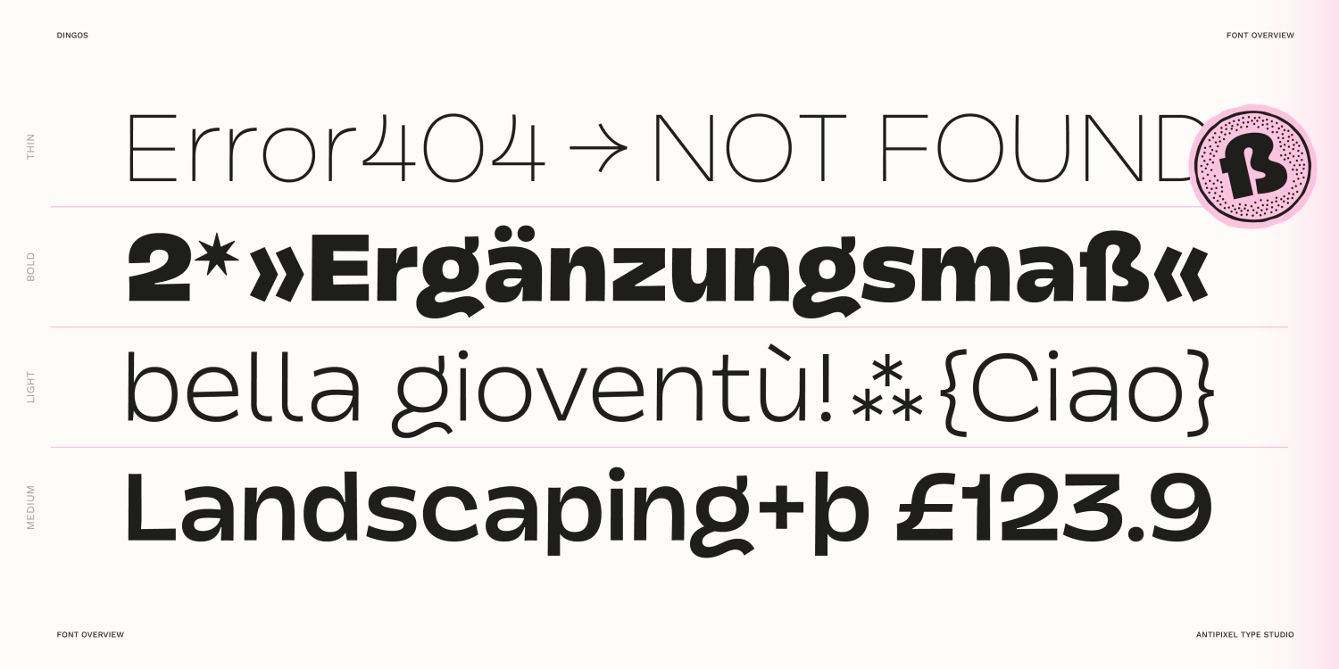 Dingos Font Poster #1