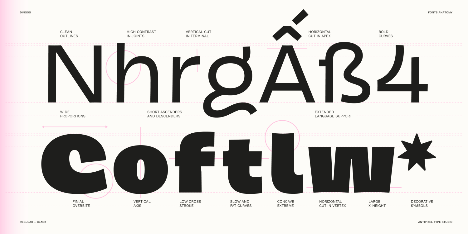 Dingos Font Poster #1