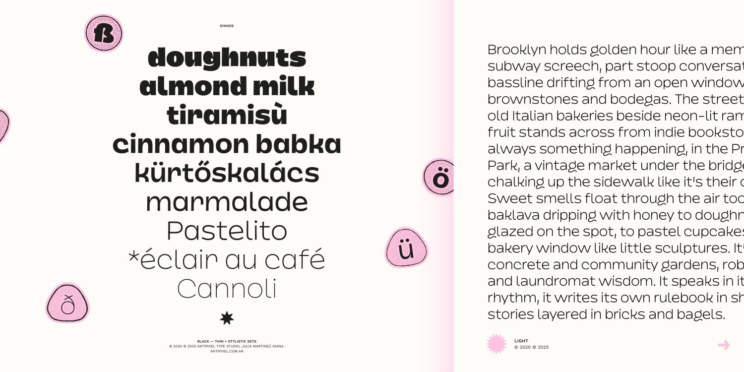 Dingos Font Poster #1