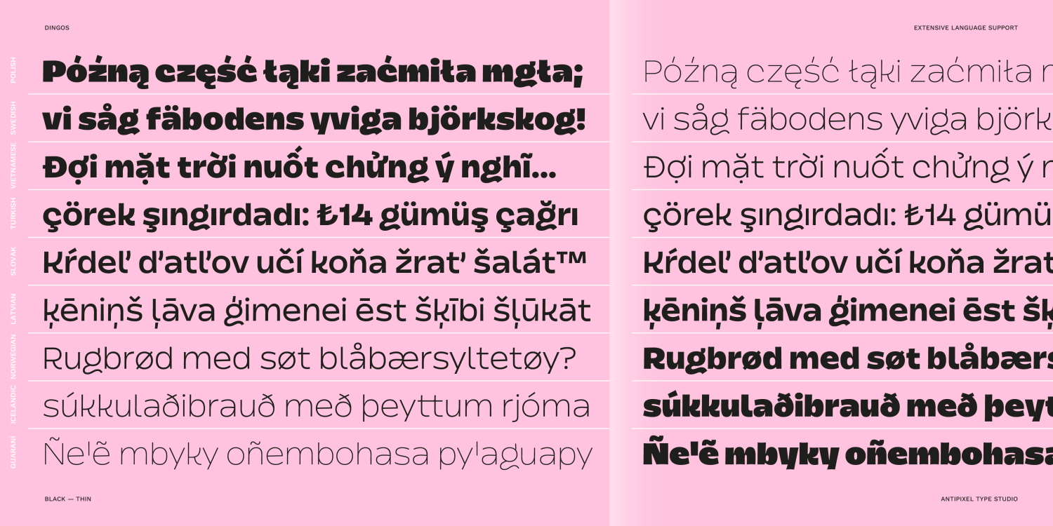 Dingos Font Poster #1