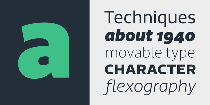 Riona Sans Regular Font Poster #1