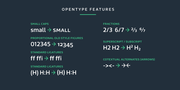 Riona Sans Regular Font Poster #1