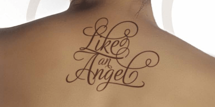 Adios Script Pro Font Poster #1