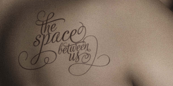 Adios Script Pro Font Poster #1