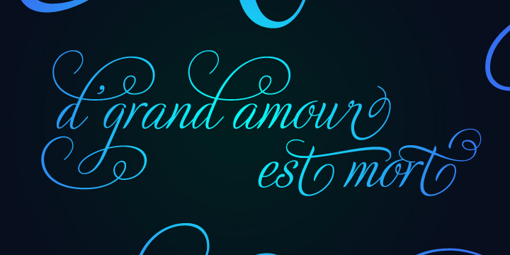 Adios Script Pro Font Poster #1