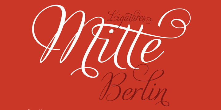 Adios Script Pro Font Poster #1