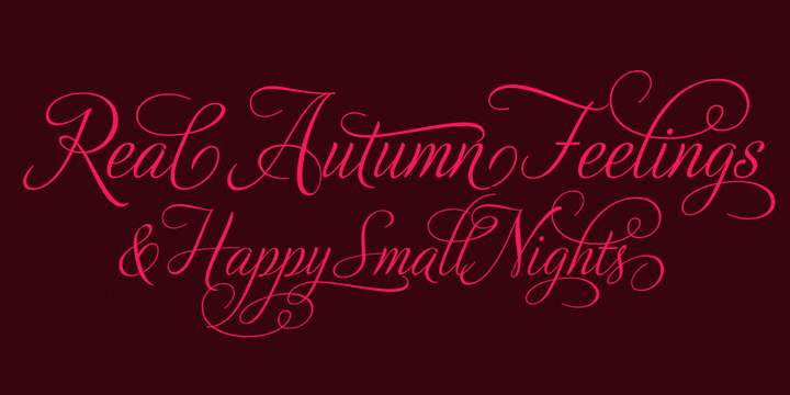 Adios Script Pro Font Poster #1