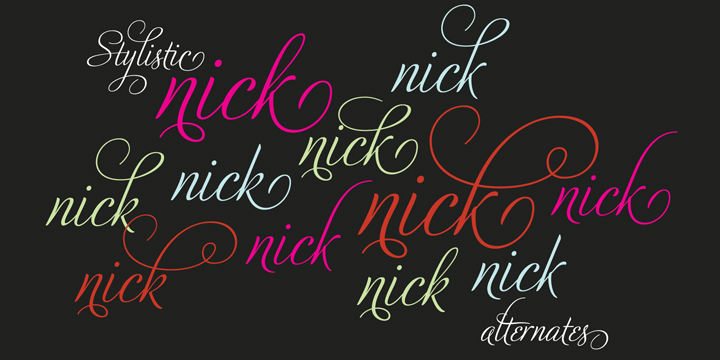 Adios Script Pro Font Poster #1