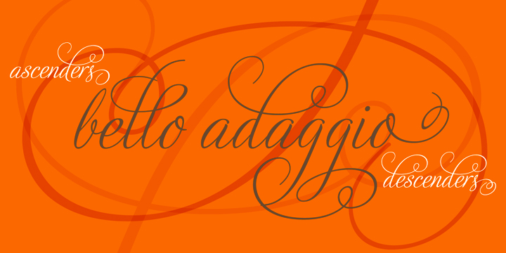 Adios Script Pro Font Poster #1