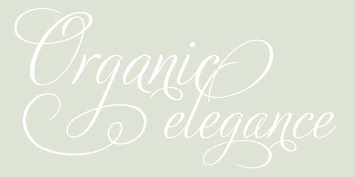 Adios Script Pro Font Poster #1