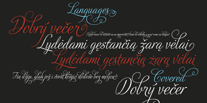 Adios Script Pro Font Poster #1