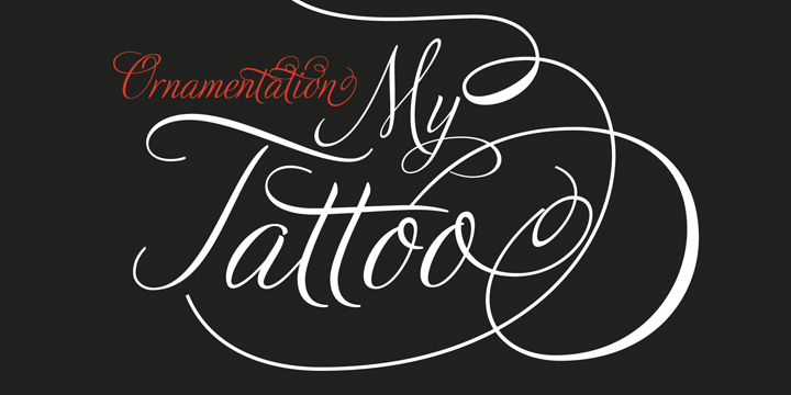 Adios Script Pro Font Poster #1