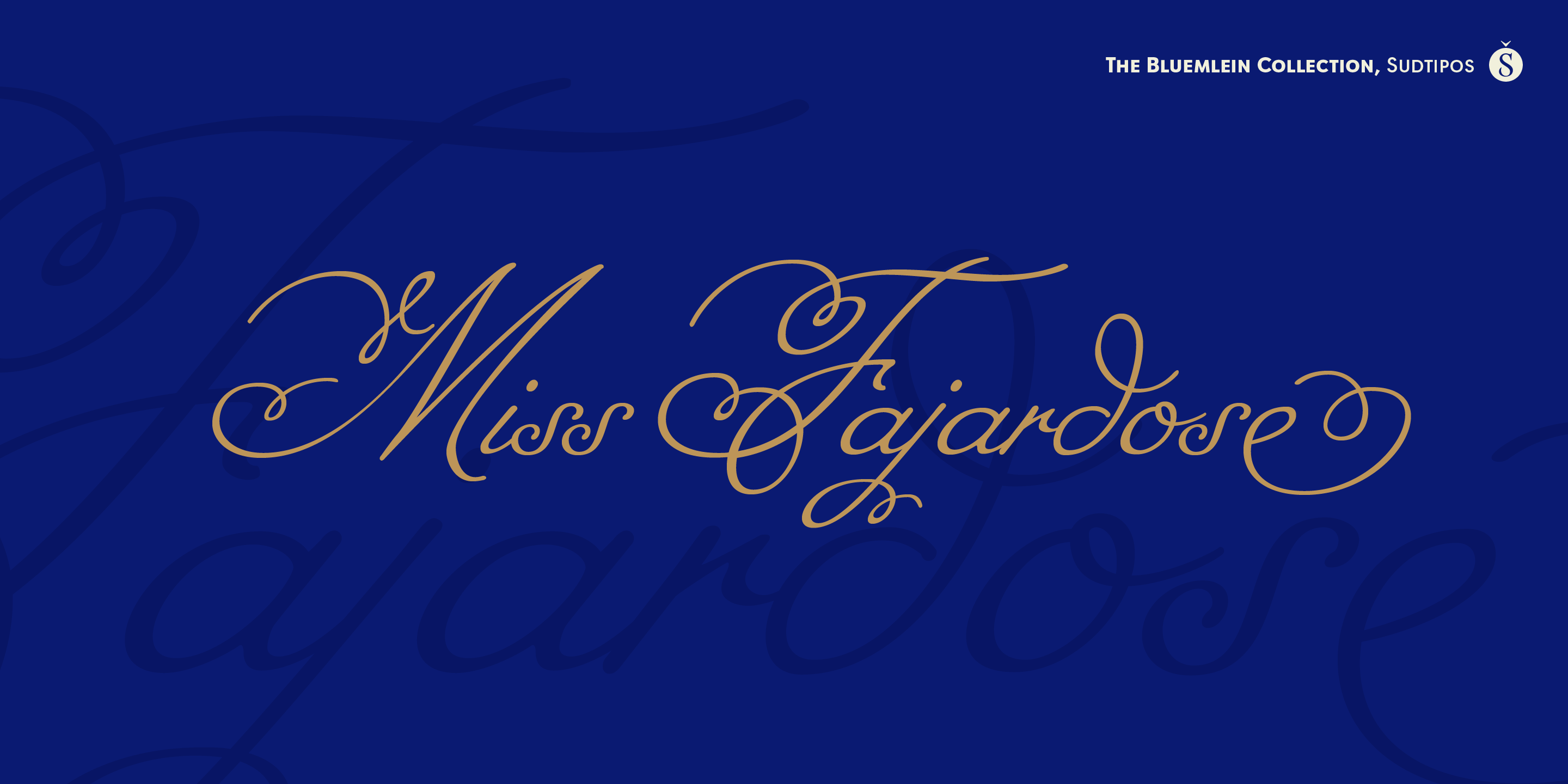 Miss Fajardose Poster