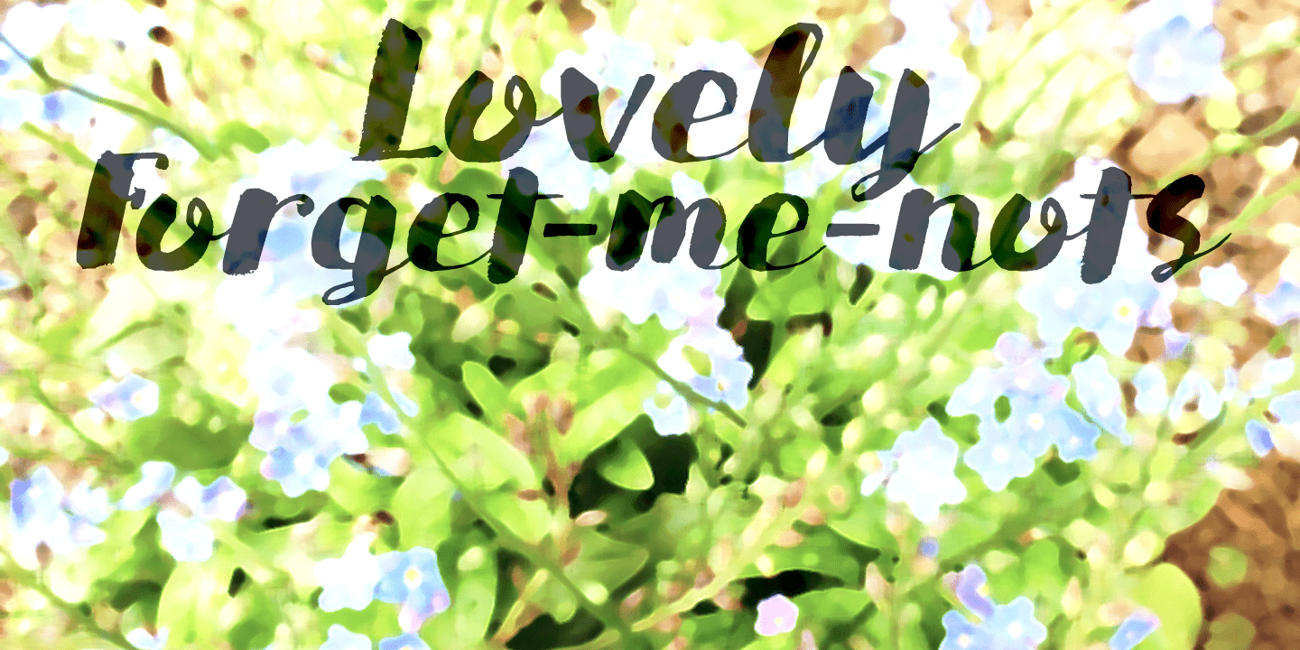 Saffron Walden Font Poster #1