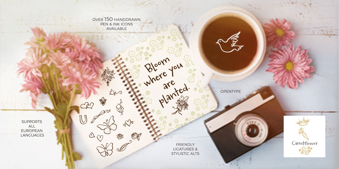 Carrotflower Font Poster #1