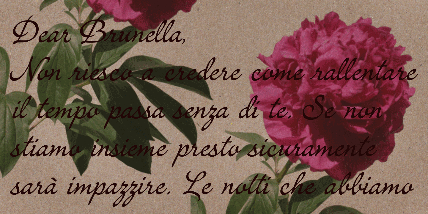Italian Hand Font Poster #1