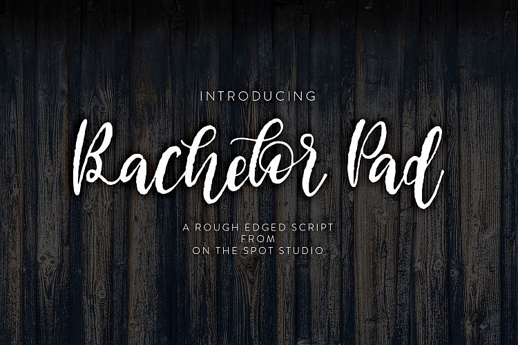 Bachelor Pad Font Poster #2