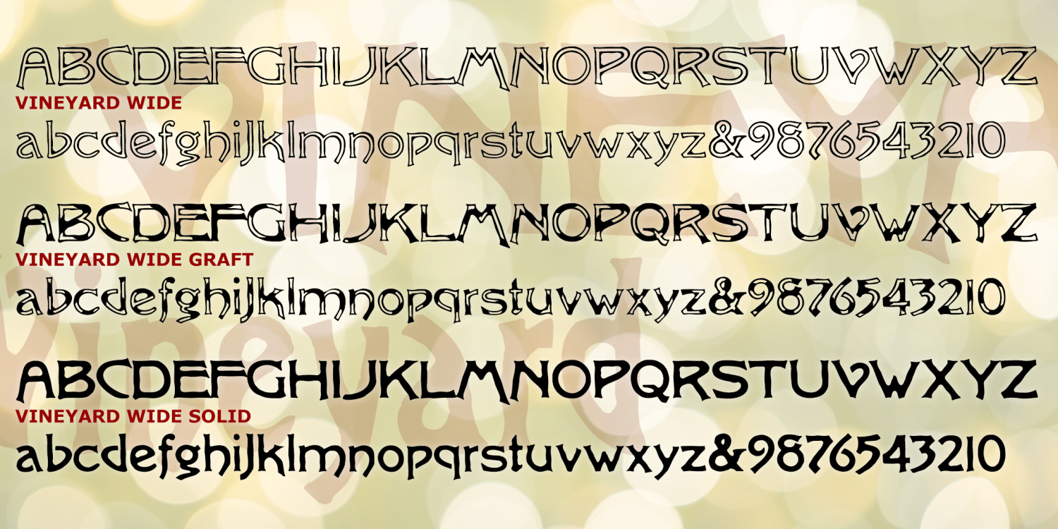 Vineyard Solid Font Poster #1
