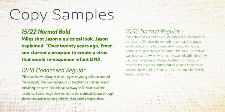 Ashemore Font Poster #1