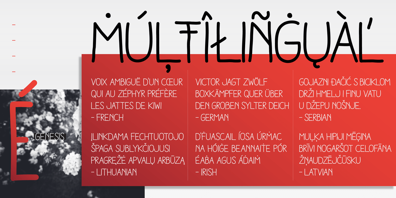 Aracne Font Poster #1