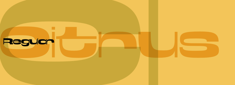 Citrus Font Poster #1