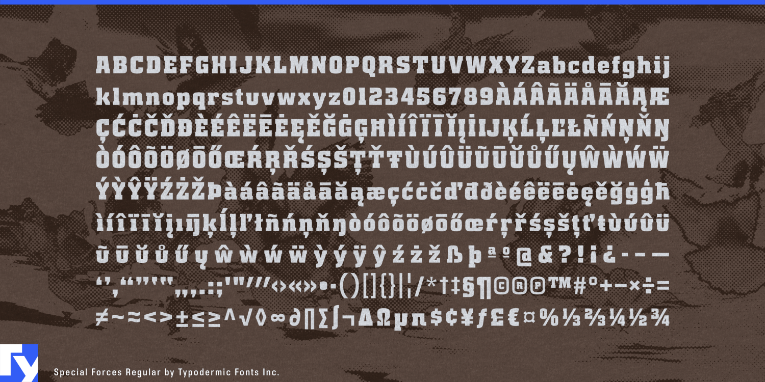 Special Forces Font Poster #1