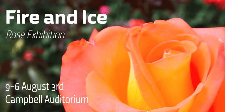 Torcao Font Poster #1