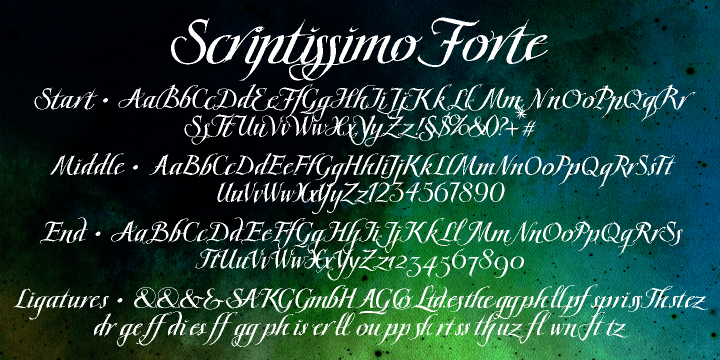 Scriptissimo Forte Font Poster #1