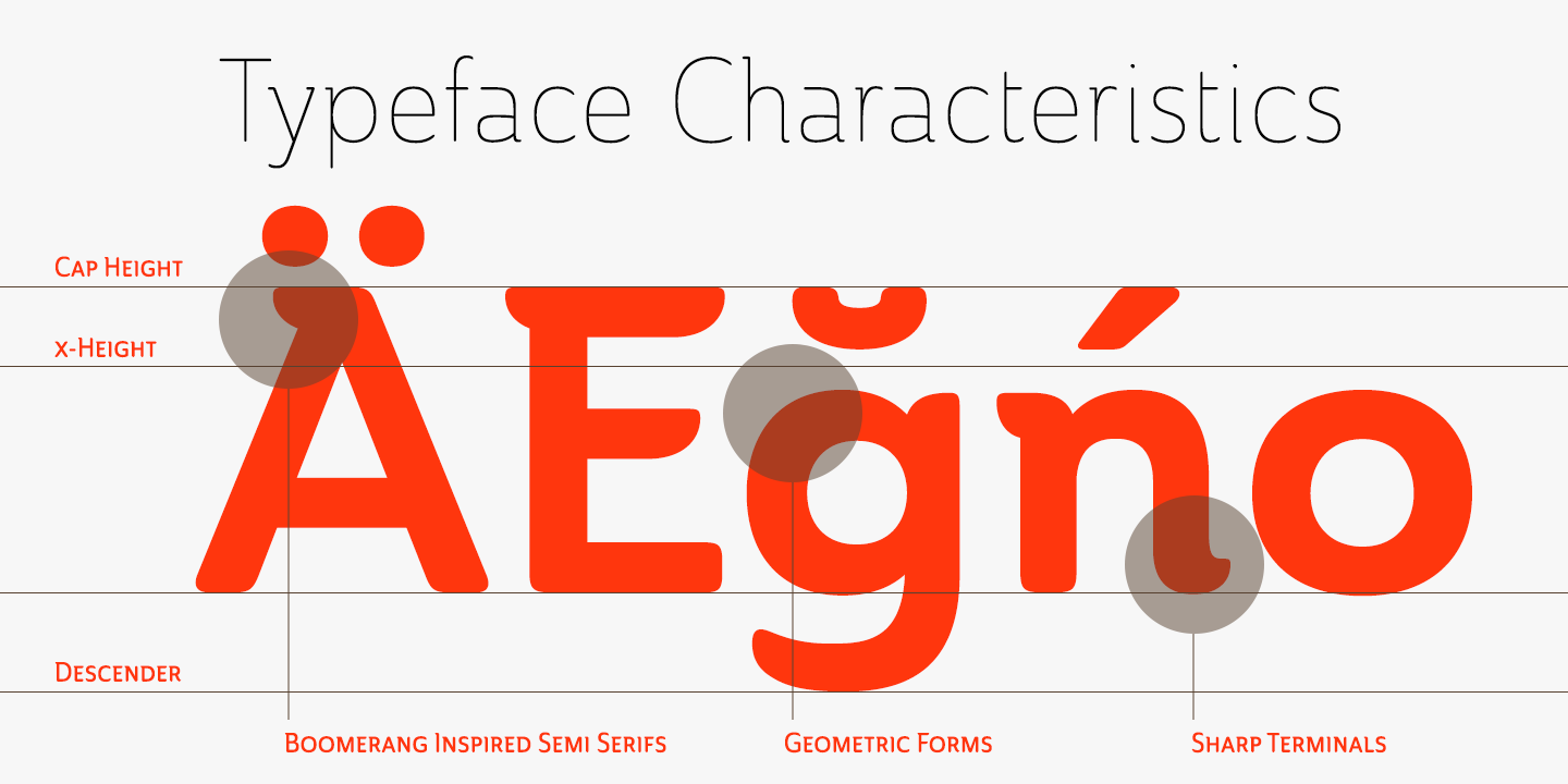 Ainslie Font Poster #1