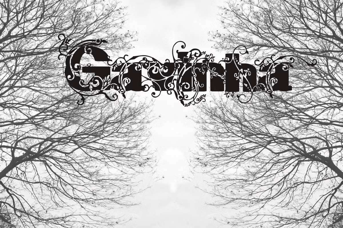 Gavinha Font Family Poster