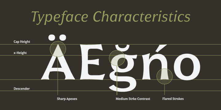 Civane Font Poster #1