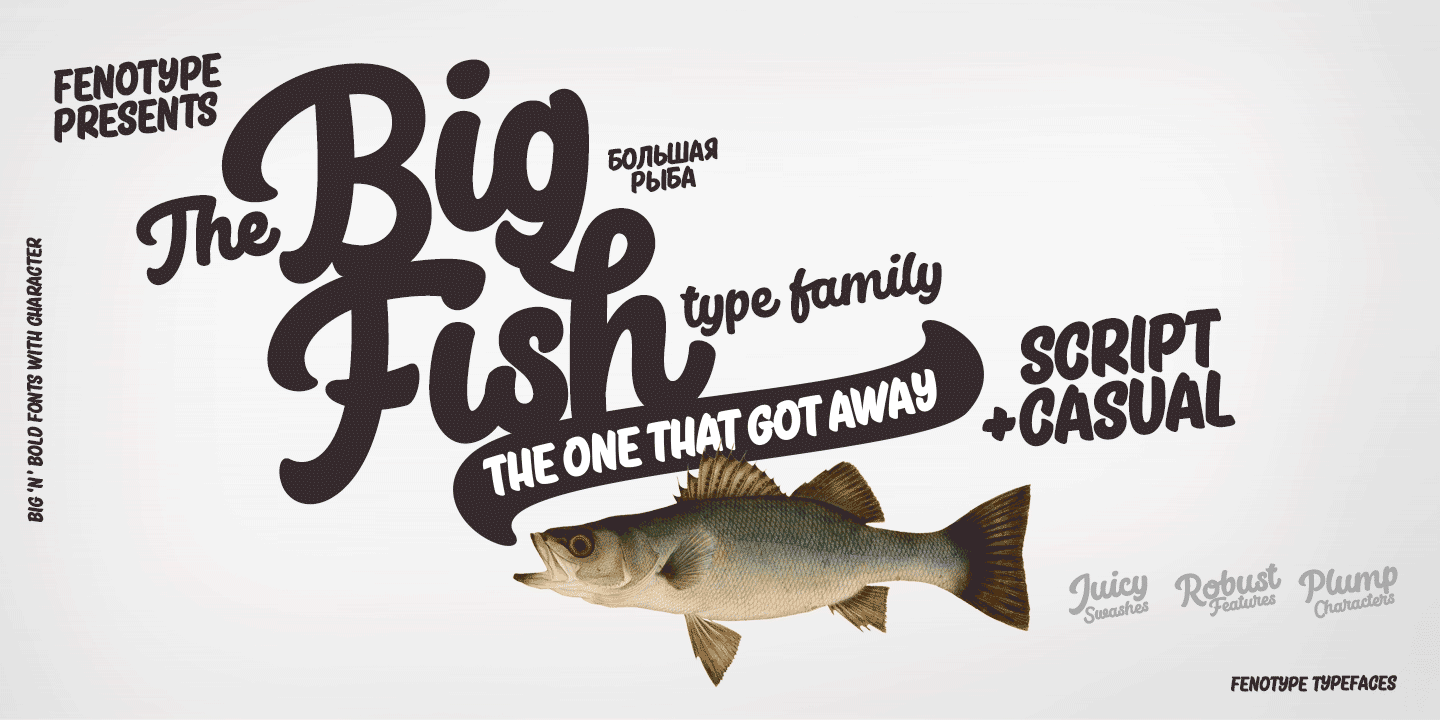 Big Fish Font Family Poster