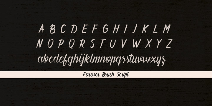 Forever Brush Script Font Poster #1
