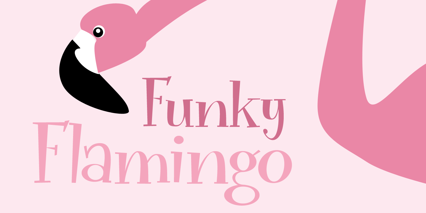 Funky Flamingo Font Poster #1